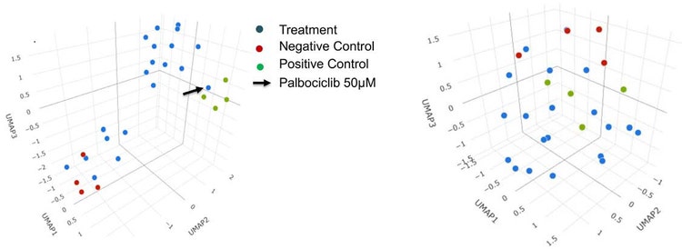 UMAP dimensionality reduction and clustering