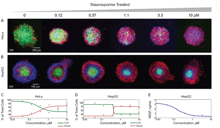 imaging-and-quantitative-assessment