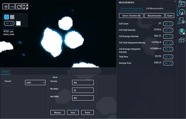 spheroid identification using DAPI stain