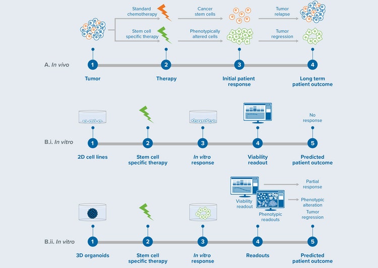 Comparison of true patient treatment outcomes with those predicted by in vitro models