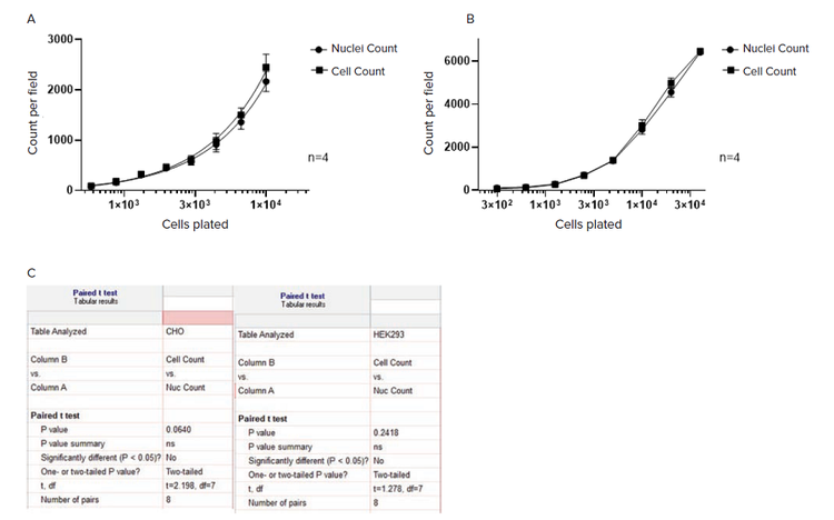 Counting label-free cells, segmented with SINAP