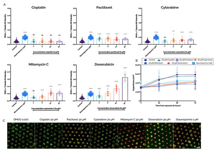 Response of human rectal organoids exposed to a panel of intestinal toxicity compounds
