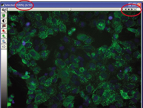 Stack of timepoint data