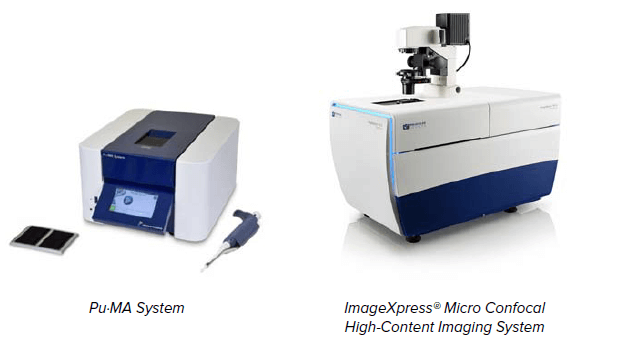 Schematic of the semi-automated tumoroid assay workflow