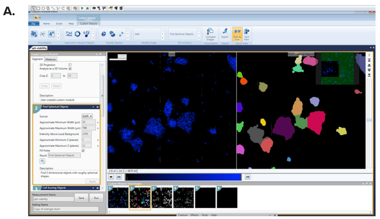 Count Nuclei