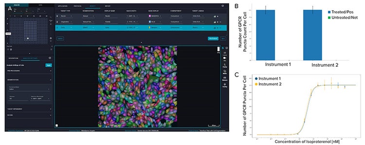 Image analysis protocol: Nuclei were segmented with Nuclei Robust tool on DAPI channel