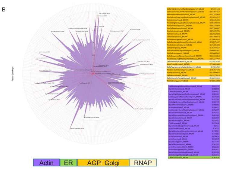 Using HC StratoMineR for data analysis
