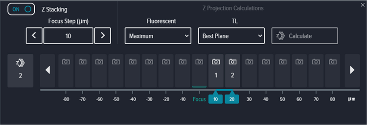 Plane 2D projection image