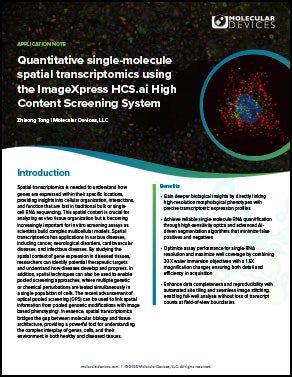 Single-molecule Spatial Transcriptomics App note