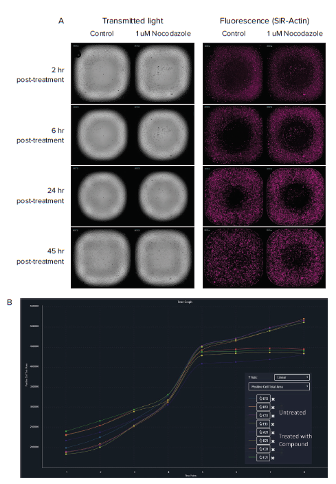 Example of transmitted light and fluorescent