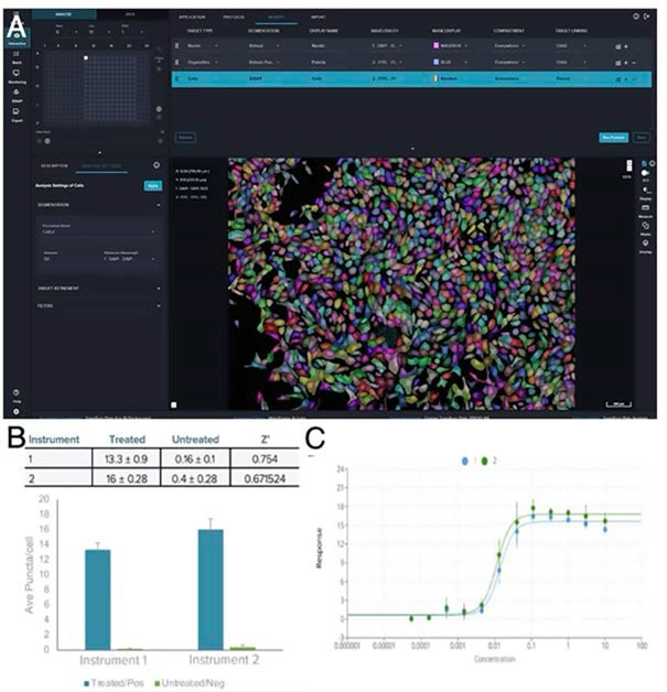 IN Carta image analysis showing nuclei segmented on DAPI channel and vesicle segmentation on FITC channel using Cellpose algorithms