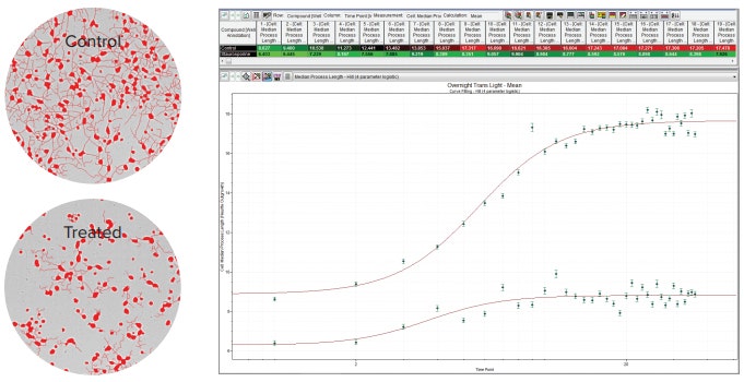 Neurite Outgrowth can be tracked over time in unlabeled cells