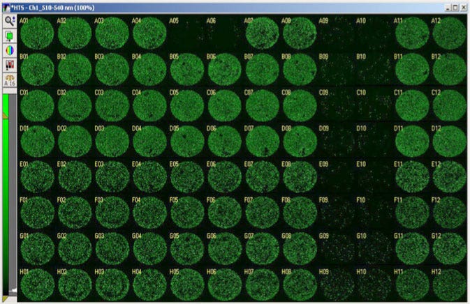 Whole well images of toxicity assay