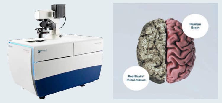 ImageXpress Micro Confocal High-Content Imaging System and RealBrain micro-tissue