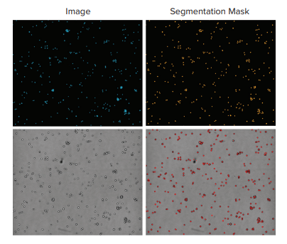 Comparison of cell count on HeLa cells