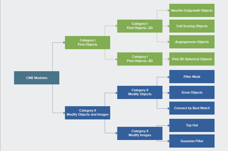 Classification of CME modules