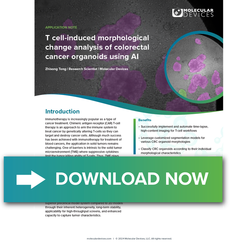 T cell-induced morphological App Note