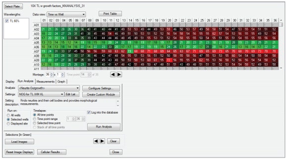 Heat map allows quick evaluation of time-lapse responses