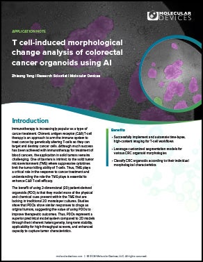 T cell-induced morphological App Note