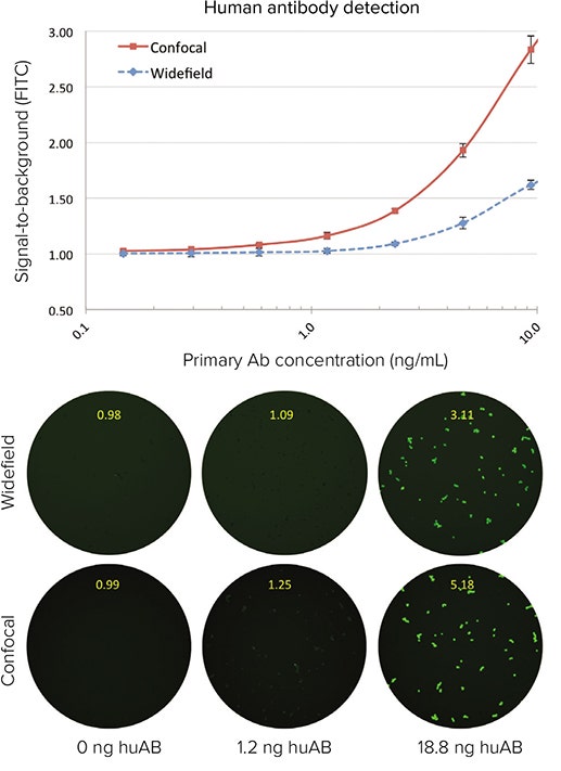 Comparison of binding curves of each antibody acquired with either widefield or confocal optics shows that more sensitive detection is possible using confocal images