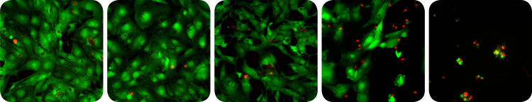 Cytotoxicity assay- exposed to increasing levels of a toxic compound