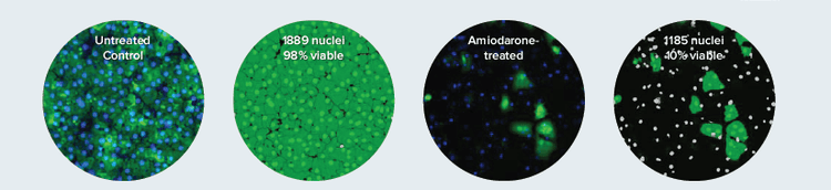 MultiWavelength Cell Scoring Module