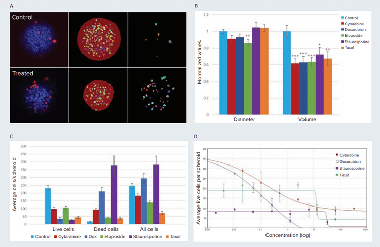 Cytotoxic effects on spheroids shown for control and compound treated cells