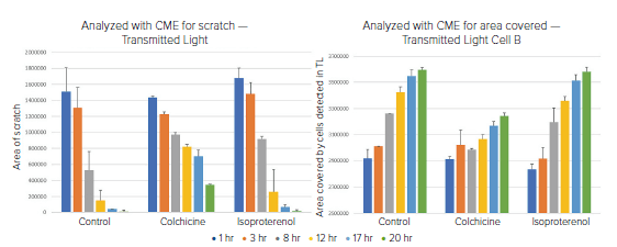 Transmitted Light Image