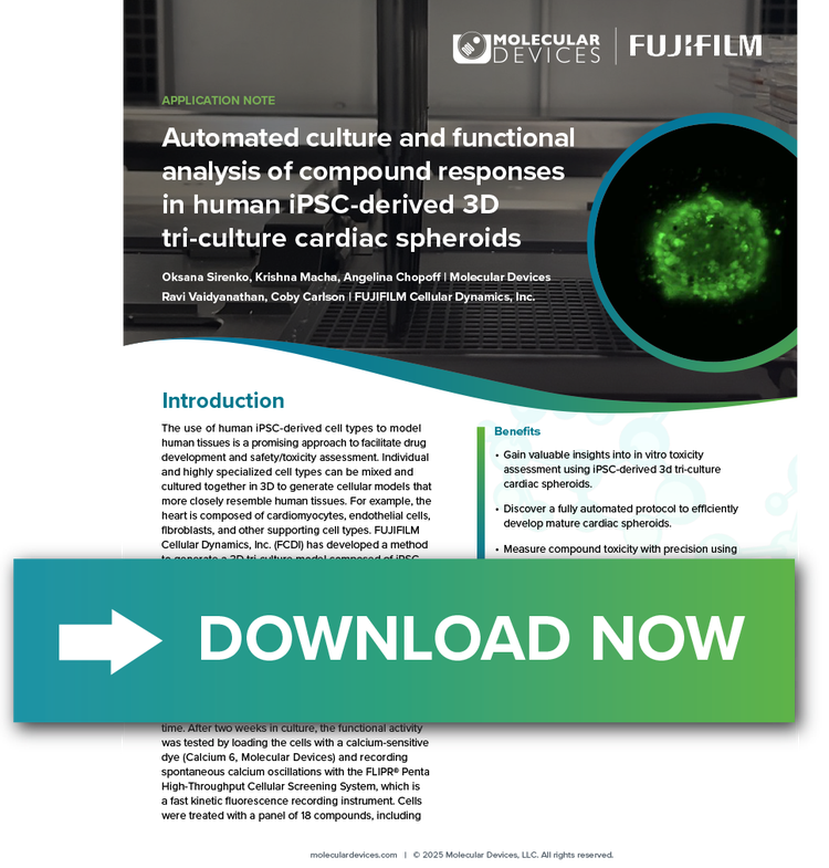 3D tri-culture cardiac spheroids App note
