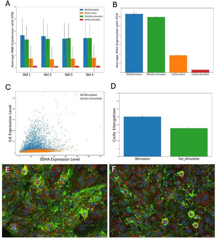 Bar graphs showing RNA expression variability per cell and per well; 2D expression map of SDHA and IL-6