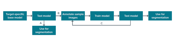 SINAP segmentation workflow