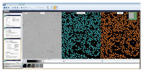 counting-cells-three