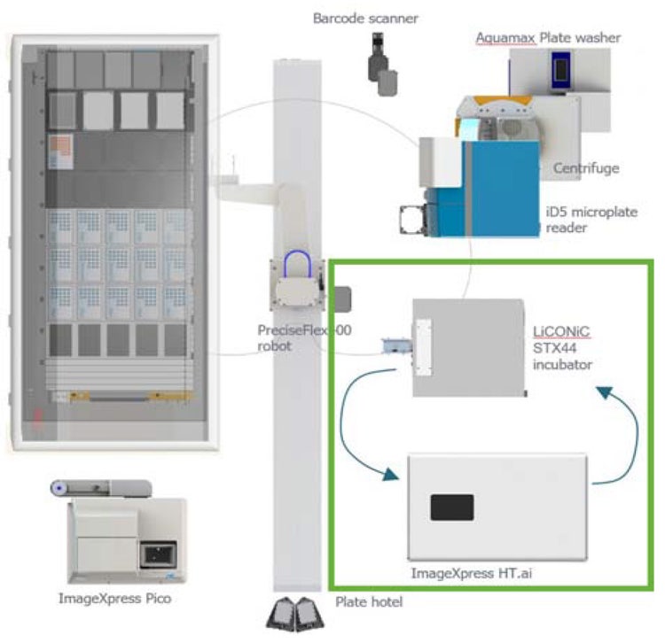Layout of the automated workcell liquid handler (Hamilton)