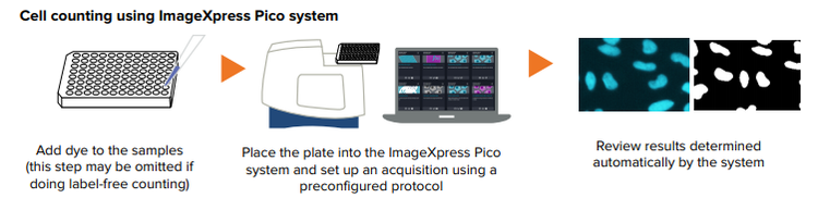 Cell counting using ImageXpress Pico system