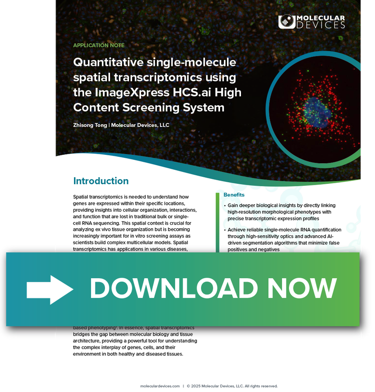 Single-molecule Spatial Transcriptomics App note
