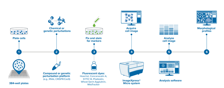 image-based-profiling