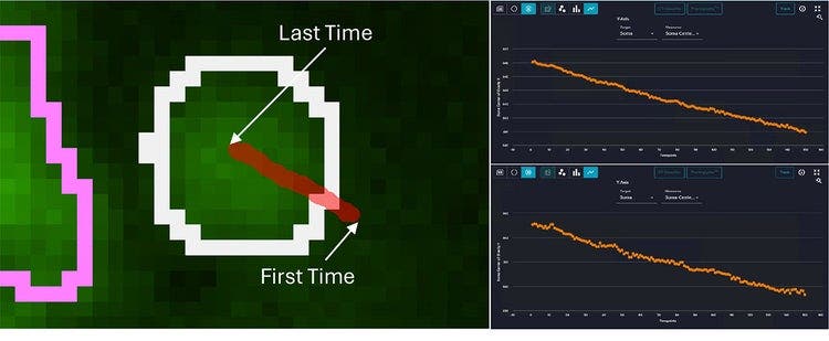 Cell body movement trajectory with stable intensity over time and corresponding x and y positional shifts across time points
