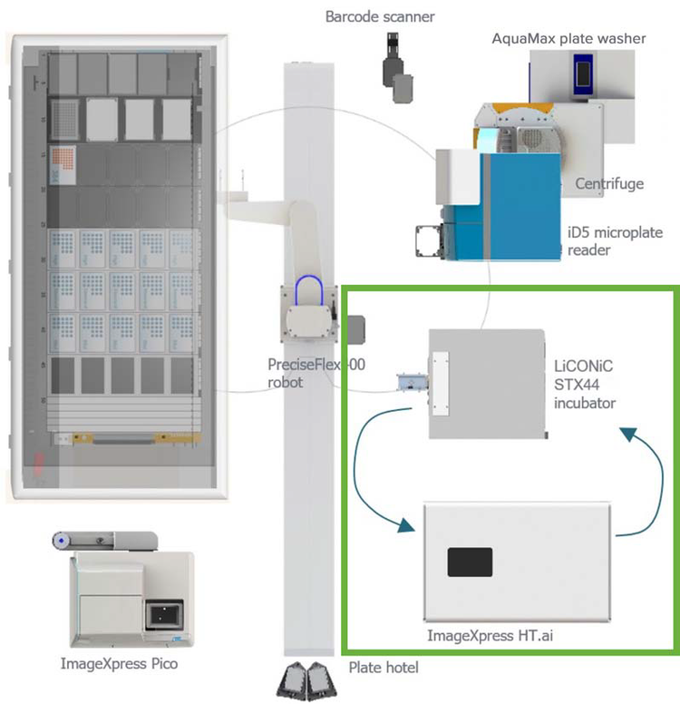 Layout of the automated workcell