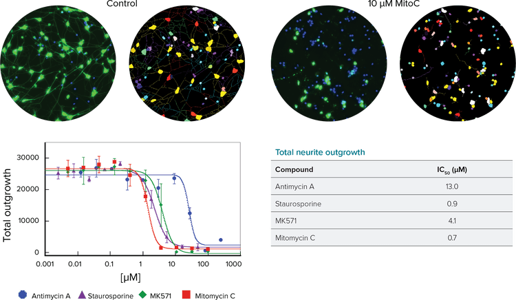 Neurite Outgrowth Application Module