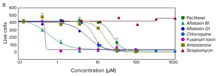 Phenotypic changes in the spheroids after compound treatment