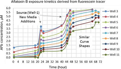 This graph depicts the time course concentration gradients of compound/toxicant exposures in each SciFlow 1000 System column over a 72 hour period