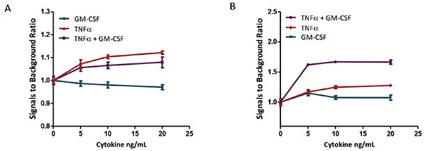 TNFα and GM-CSF induced apoptosis in U937 with Caspase-3/7 NucView 488 assay