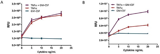 TNFα and GM-CSF induced apoptosis in U937 with Caspase-3/7 R110 assay