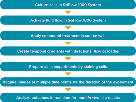 Method workflow