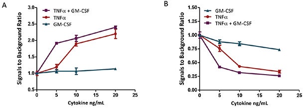 TNFα and GM-CSF induced apoptosis in U937 with Live/ Dead assay