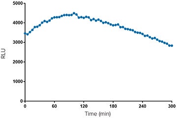 Luciferase signal in CHO-K1 cells over time