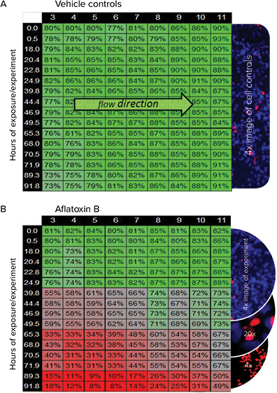 Mapping cytotoxicity by percentage of viable cells