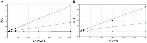 Measurement of luciferase in transfected cells
