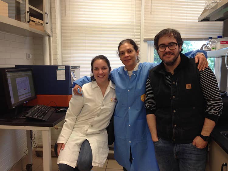 Dr. Luis Gimenez-Lirola’s Lab, at Iowa State University in the College of Veterinary Medicine
