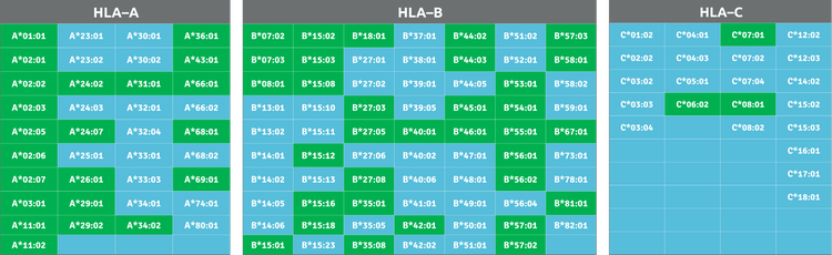 Figure shows FP-based peptide binding assays for 58 HLA alleles
